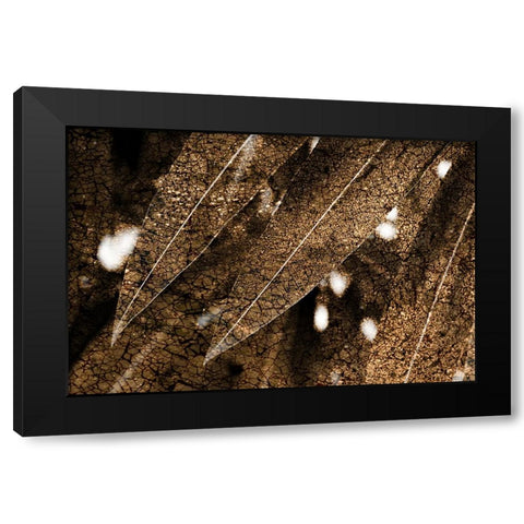 Foliage Textured 4 Black Modern Wood Framed Art Print with Double Matting by Lee, Rachel
