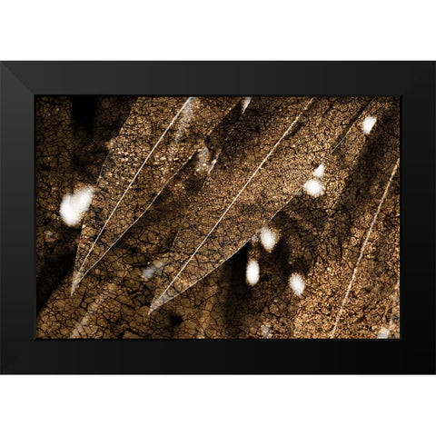 Foliage Textured 4 Black Modern Wood Framed Art Print by Lee, Rachel