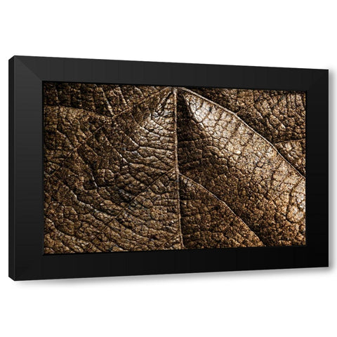 Foliage Textured 5 Black Modern Wood Framed Art Print with Double Matting by Lee, Rachel