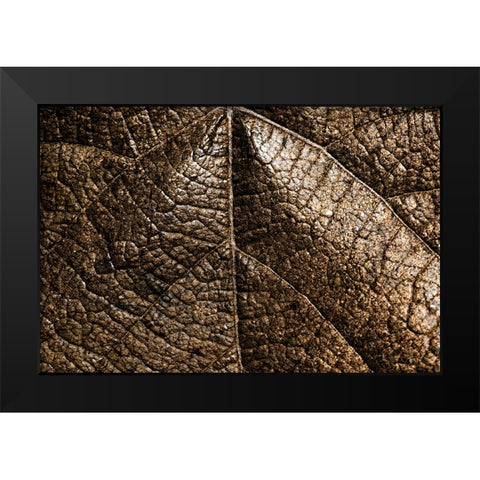 Foliage Textured 5 Black Modern Wood Framed Art Print by Lee, Rachel
