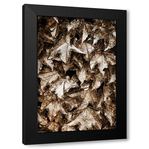 Foliage Textured 6 Black Modern Wood Framed Art Print with Double Matting by Lee, Rachel