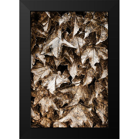 Foliage Textured 6 Black Modern Wood Framed Art Print by Lee, Rachel