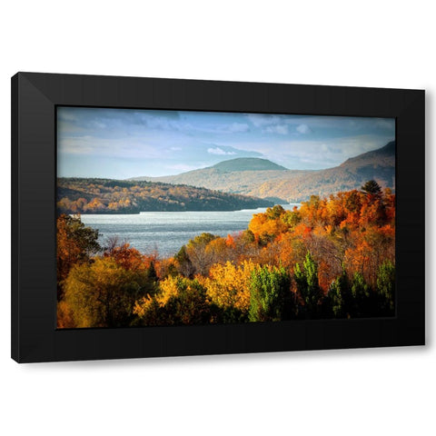 Forest Lake Black Modern Wood Framed Art Print with Double Matting by Lee, Rachel