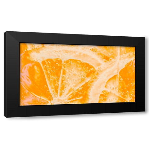 Fruit 1 Black Modern Wood Framed Art Print with Double Matting by Lee, Rachel