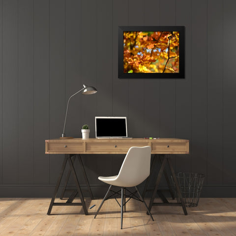Leaves 15 Black Modern Wood Framed Art Print by Lee, Rachel