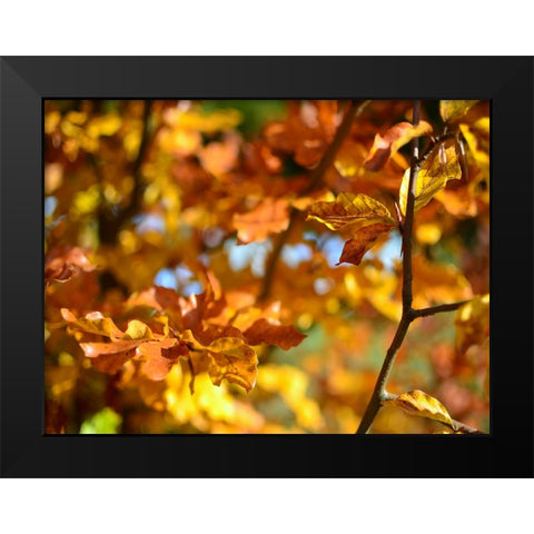 Leaves 15 Black Modern Wood Framed Art Print by Lee, Rachel