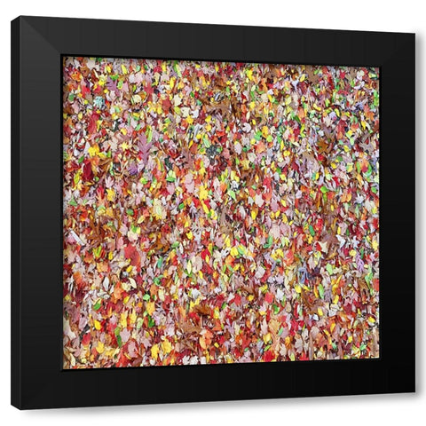 Leaves 17 Black Modern Wood Framed Art Print with Double Matting by Lee, Rachel
