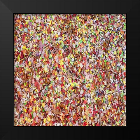 Leaves 17 Black Modern Wood Framed Art Print by Lee, Rachel