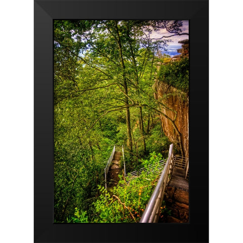Lookout Trail Stairs Black Modern Wood Framed Art Print by Lee, Rachel