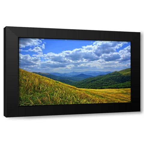 Mountain View 10 Black Modern Wood Framed Art Print with Double Matting by Lee, Rachel