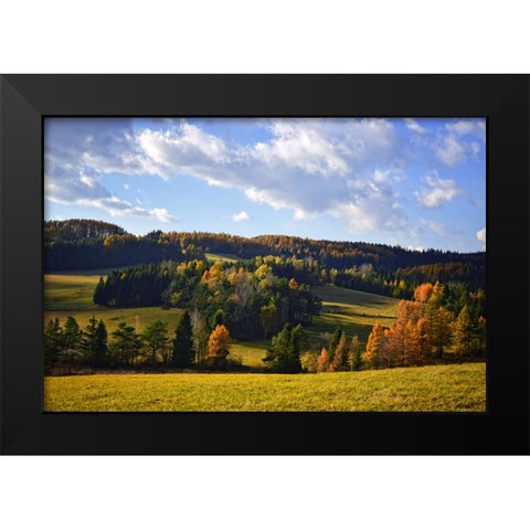 Mountain View 13 Black Modern Wood Framed Art Print by Lee, Rachel