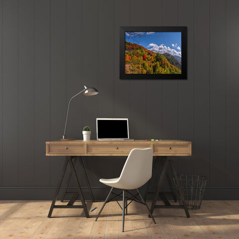 NC Fall Mountains 6 Black Modern Wood Framed Art Print by Lee, Rachel