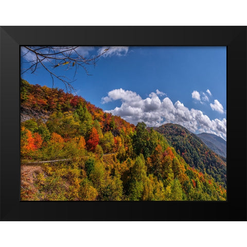 NC Fall Mountains 6 Black Modern Wood Framed Art Print by Lee, Rachel