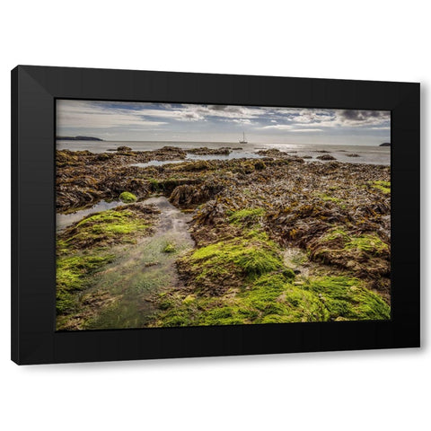Ocean 54 Black Modern Wood Framed Art Print by Lee, Rachel