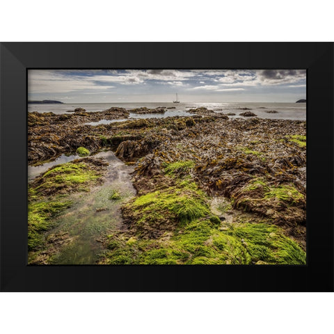 Ocean 54 Black Modern Wood Framed Art Print by Lee, Rachel