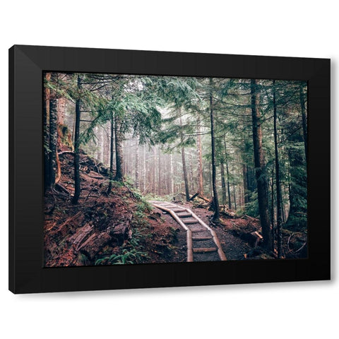 Pathway 5 Black Modern Wood Framed Art Print with Double Matting by Lee, Rachel