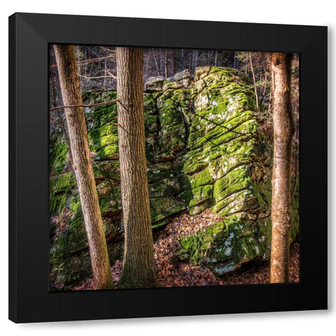 Rocks 4 Black Modern Wood Framed Art Print by Lee, Rachel