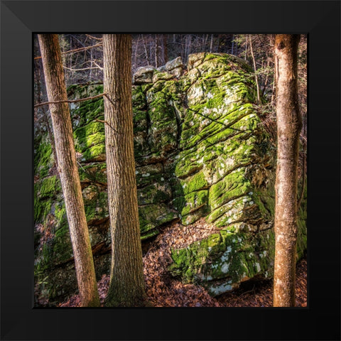 Rocks 4 Black Modern Wood Framed Art Print by Lee, Rachel