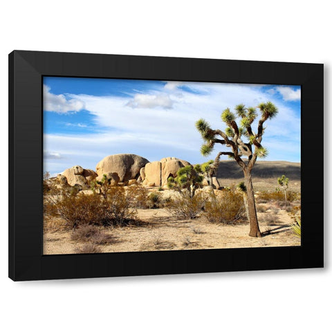 Southwest 1 Black Modern Wood Framed Art Print with Double Matting by Lee, Rachel
