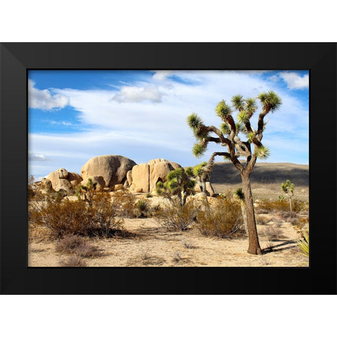 Southwest 1 Black Modern Wood Framed Art Print by Lee, Rachel