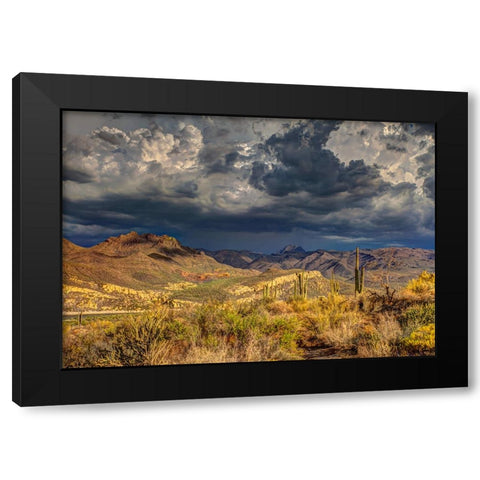 Southwest 7 Black Modern Wood Framed Art Print with Double Matting by Lee, Rachel