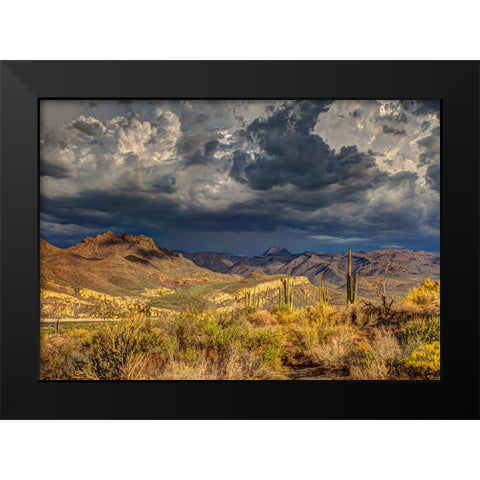 Southwest 7 Black Modern Wood Framed Art Print by Lee, Rachel