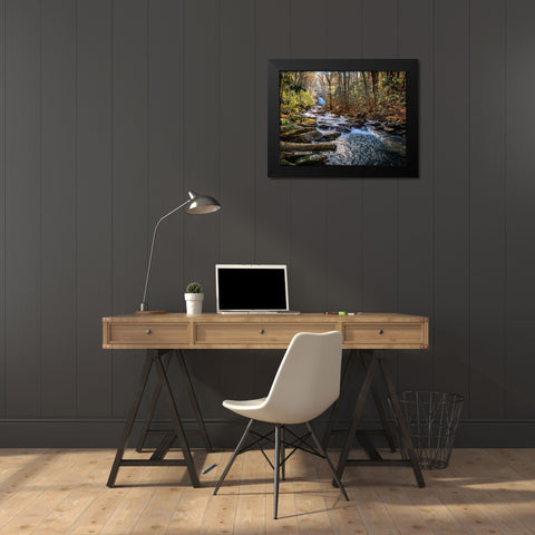 Stinging Fork Creek 1 Black Modern Wood Framed Art Print by Lee, Rachel