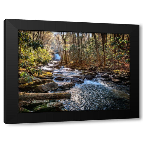 Stinging Fork Creek 1 Black Modern Wood Framed Art Print by Lee, Rachel