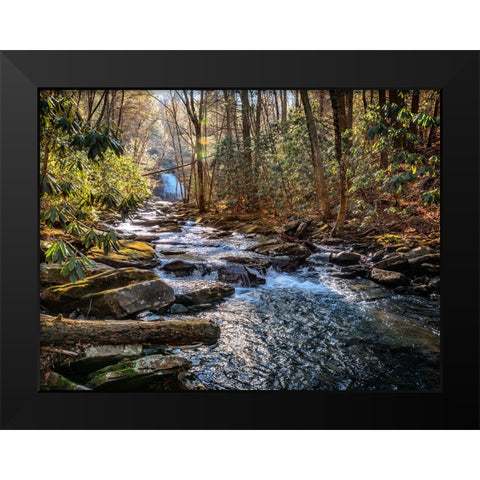 Stinging Fork Creek 1 Black Modern Wood Framed Art Print by Lee, Rachel
