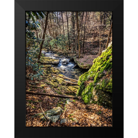 Stinging Fork Creek 6 Black Modern Wood Framed Art Print by Lee, Rachel