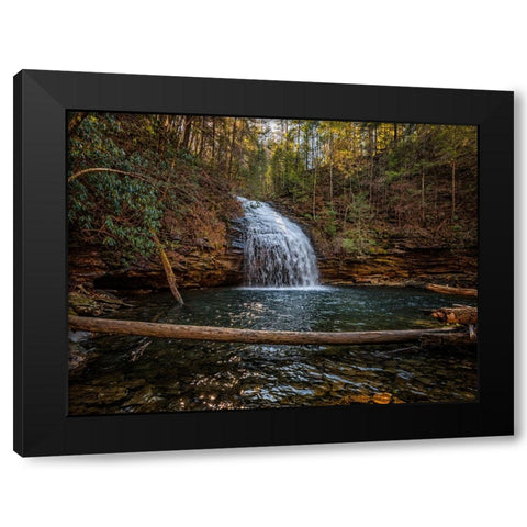 Stinging Fork Falls 1 Black Modern Wood Framed Art Print with Double Matting by Lee, Rachel