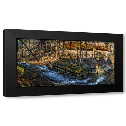 Stinging Fork Slide 1 Black Modern Wood Framed Art Print with Double Matting by Lee, Rachel
