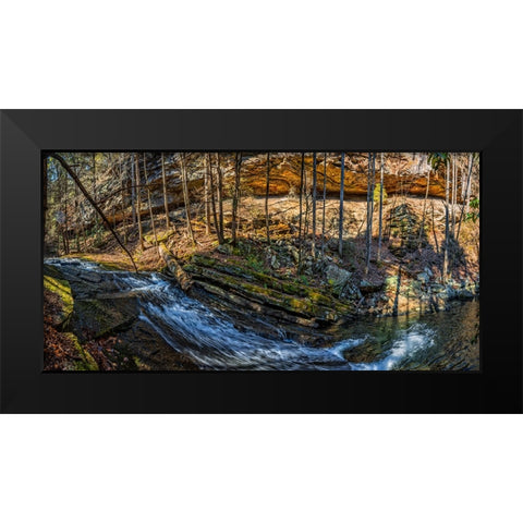 Stinging Fork Slide 1 Black Modern Wood Framed Art Print by Lee, Rachel