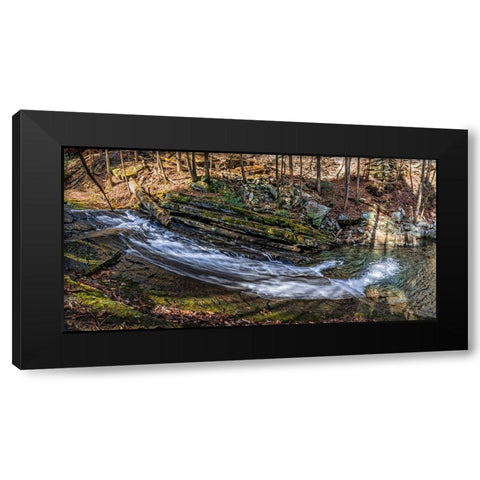 Stinging Fork Slide 2 Black Modern Wood Framed Art Print by Lee, Rachel