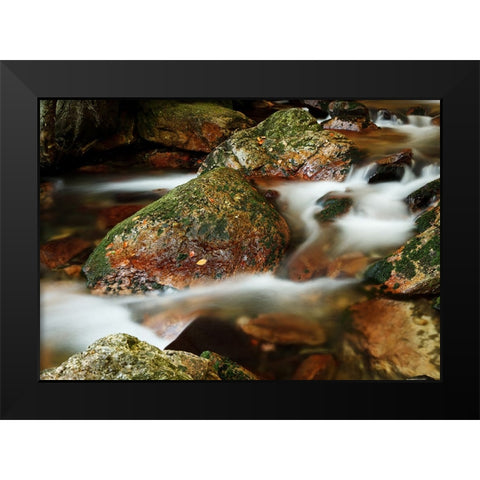 Stream 5 Black Modern Wood Framed Art Print by Lee, Rachel