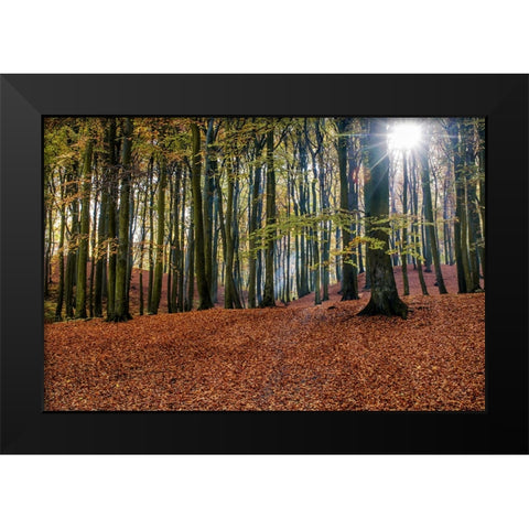 Trees 10 Black Modern Wood Framed Art Print by Lee, Rachel