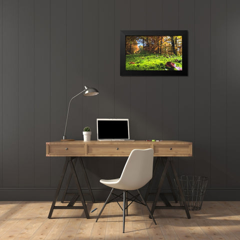 Trees 25 Black Modern Wood Framed Art Print by Lee, Rachel