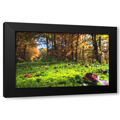 Trees 25 Black Modern Wood Framed Art Print with Double Matting by Lee, Rachel