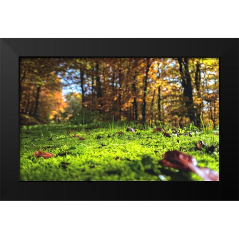 Trees 25 Black Modern Wood Framed Art Print by Lee, Rachel