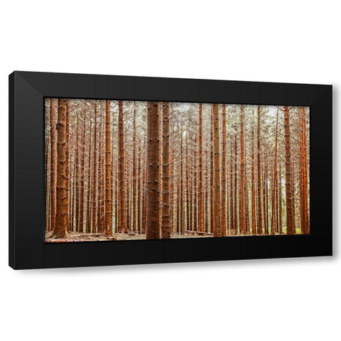Trees 26 Black Modern Wood Framed Art Print by Lee, Rachel