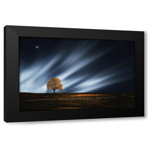 Trees 30 Black Modern Wood Framed Art Print with Double Matting by Lee, Rachel