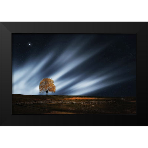 Trees 30 Black Modern Wood Framed Art Print by Lee, Rachel