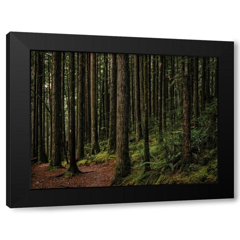 Trees 56 Black Modern Wood Framed Art Print with Double Matting by Lee, Rachel