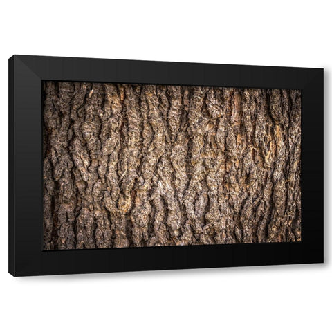 Trees 6 Black Modern Wood Framed Art Print by Lee, Rachel