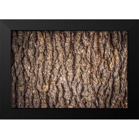 Trees 6 Black Modern Wood Framed Art Print by Lee, Rachel