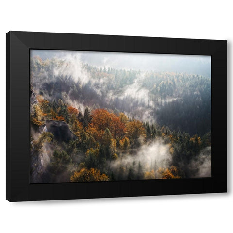 Trees 64 Black Modern Wood Framed Art Print by Lee, Rachel