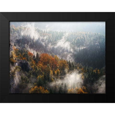 Trees 64 Black Modern Wood Framed Art Print by Lee, Rachel
