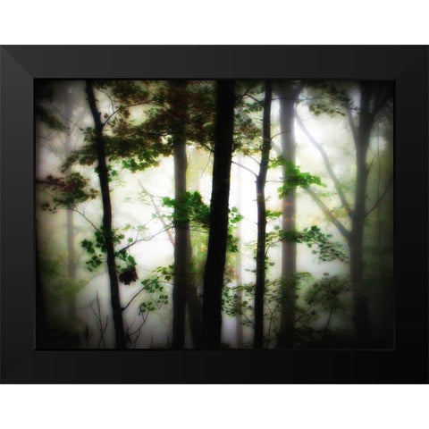 Trees 66 Black Modern Wood Framed Art Print by Lee, Rachel