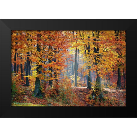 Trees 9 Black Modern Wood Framed Art Print by Lee, Rachel