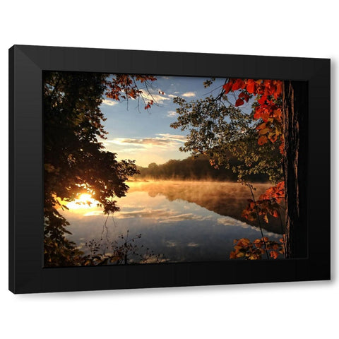 Trees and Water 4 Black Modern Wood Framed Art Print by Lee, Rachel